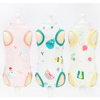 Cat Recovery Bodysuit