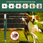 Tick Remover Pen