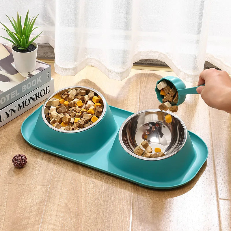Tilted Stainless Steel Double Pet Bowl
