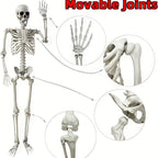 Halloween Fake Skeleton Sculpture