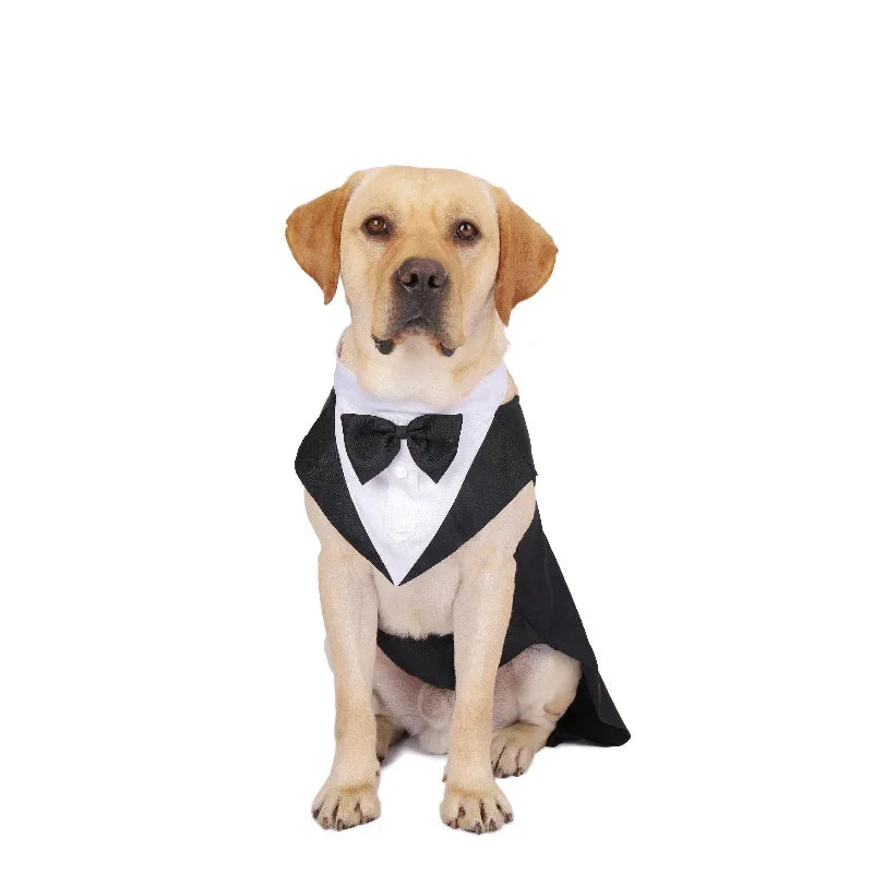 Dog Tuxedo & Bow Tie