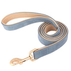 Soft Padded Leather Dog Collar & Leash Set