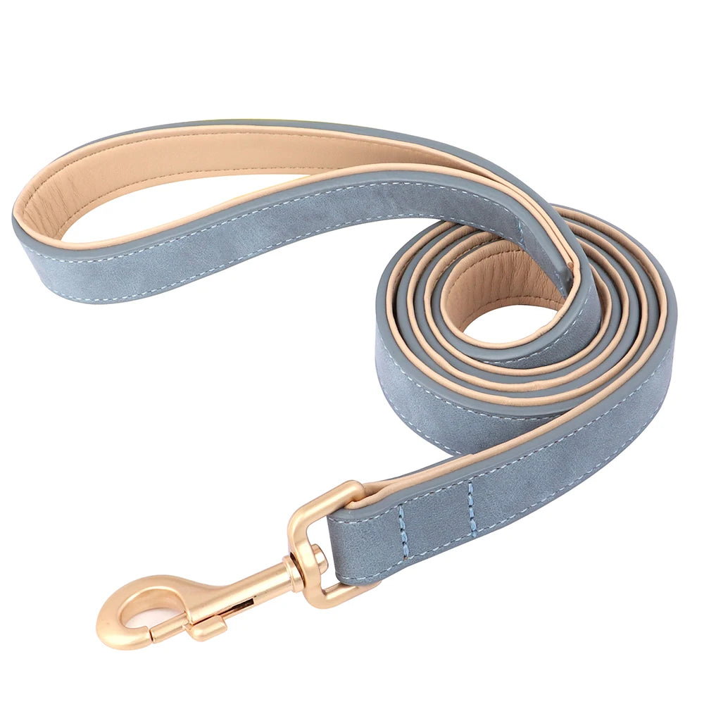 Soft Padded Leather Dog Collar & Leash Set
