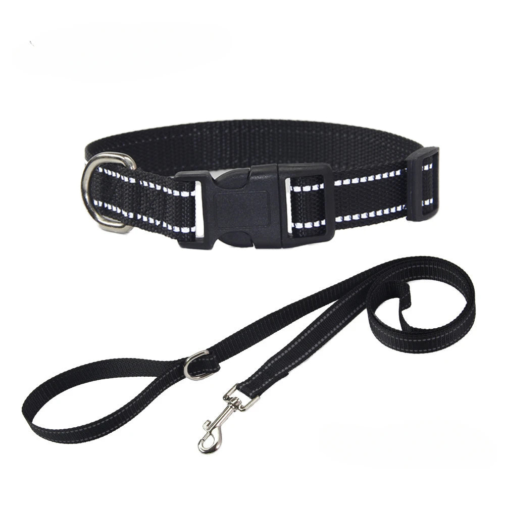 Nylon Dog Collar & Leash Set