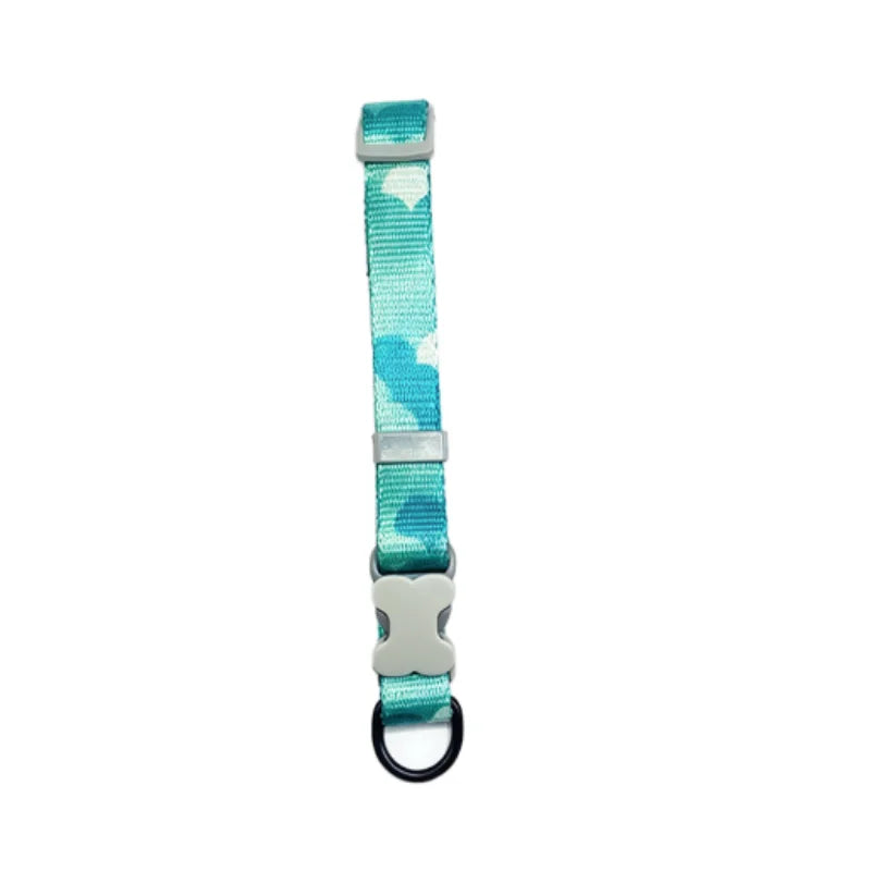 Colorful Printed Dog Collar & Leash Set