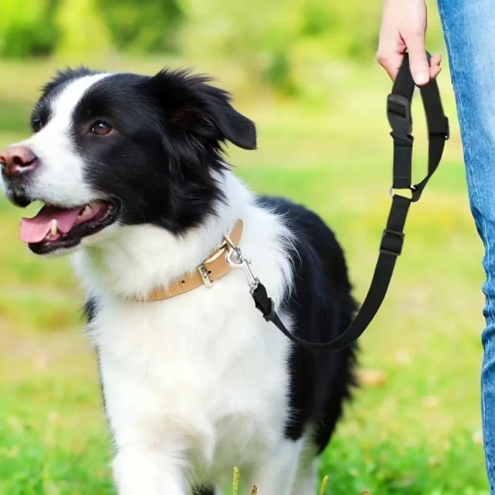 Adjustable Dog Car Seat Belt & Harness