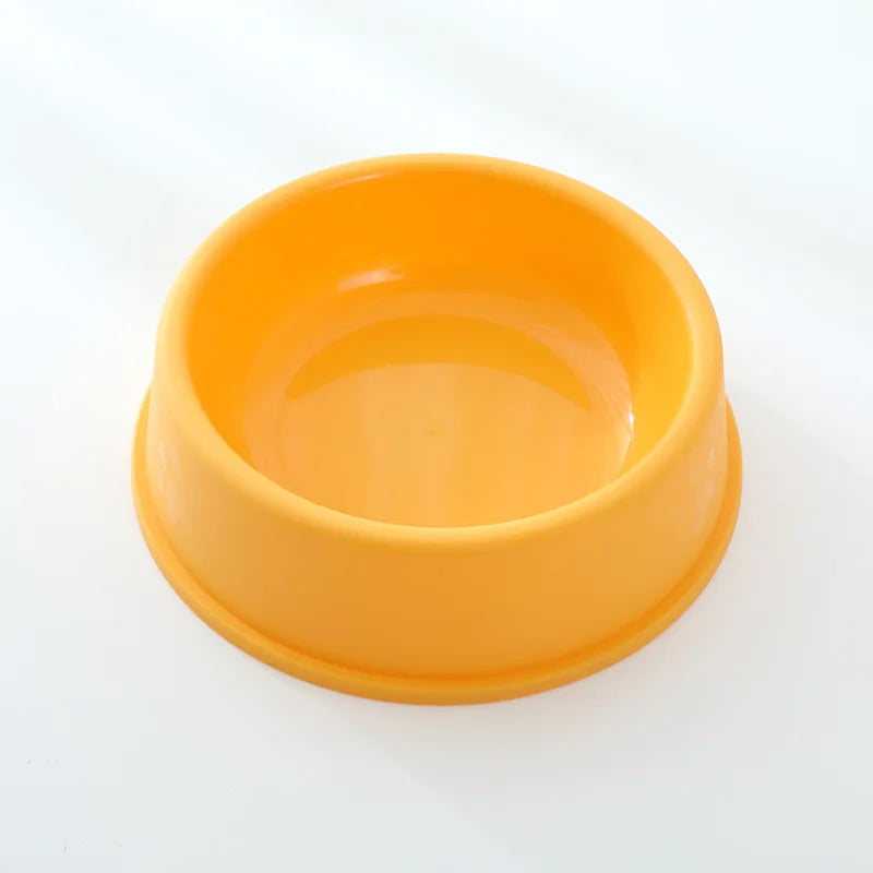 Candy-Colored Plastic Pet Bowl