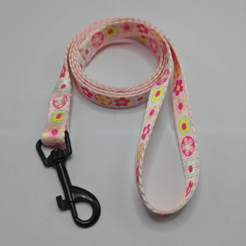 Colorful Printed Dog Collar & Leash Set