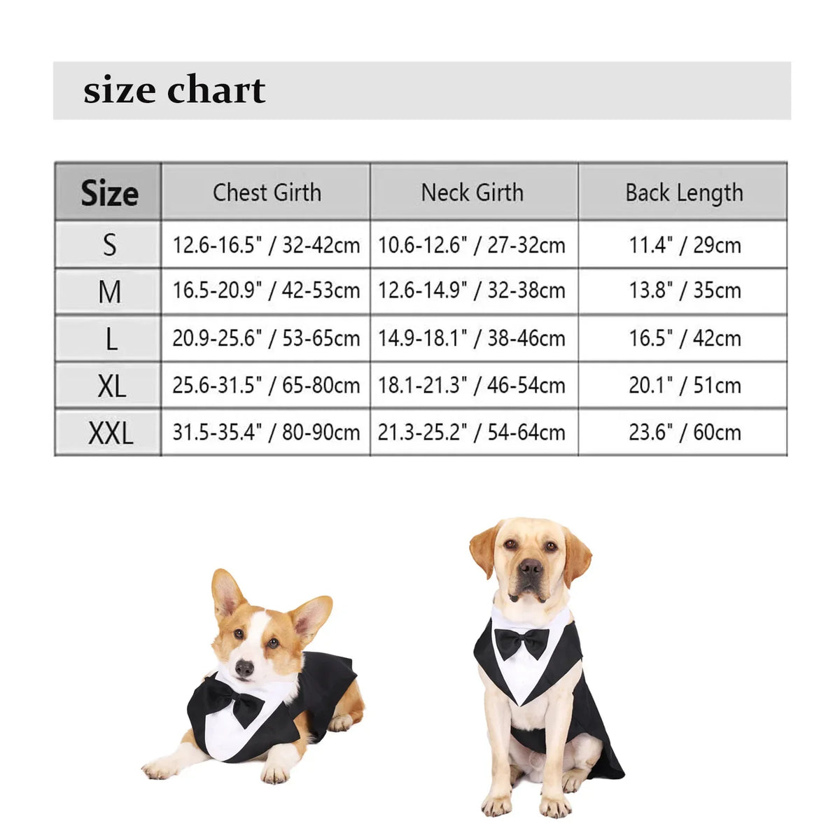 Dog Tuxedo & Bow Tie