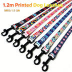 Colorful Printed Dog Collar & Leash Set