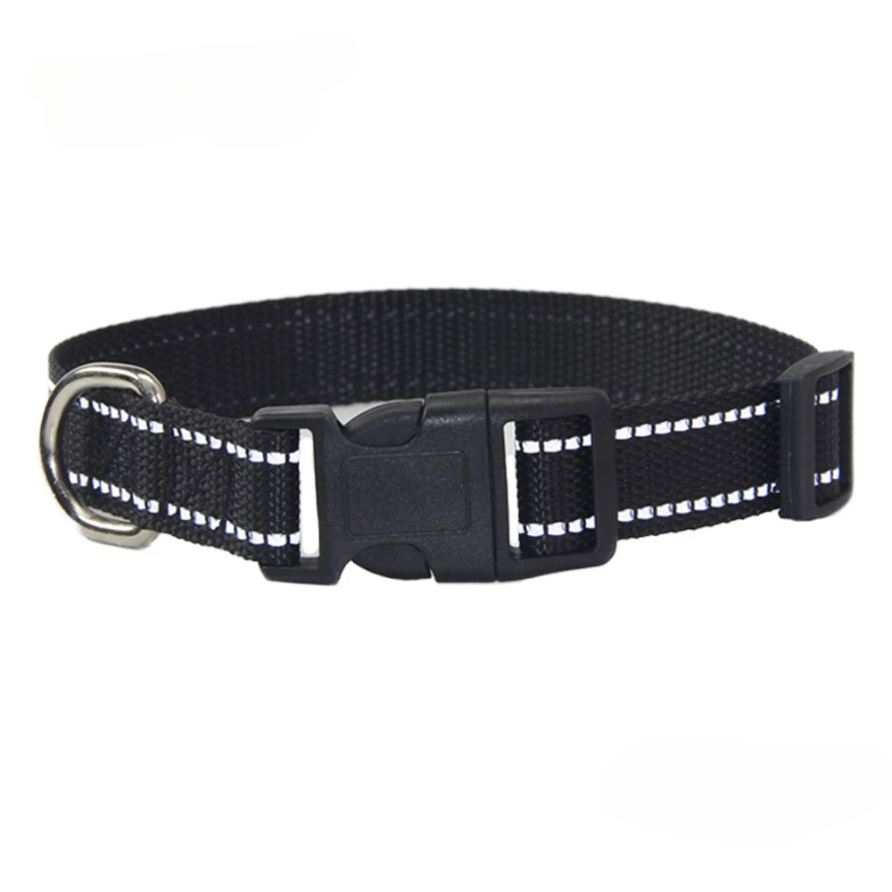 Nylon Dog Collar & Leash Set