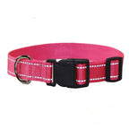 Nylon Dog Collar & Leash Set