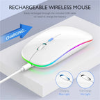 Wireless RGB LED Mouse