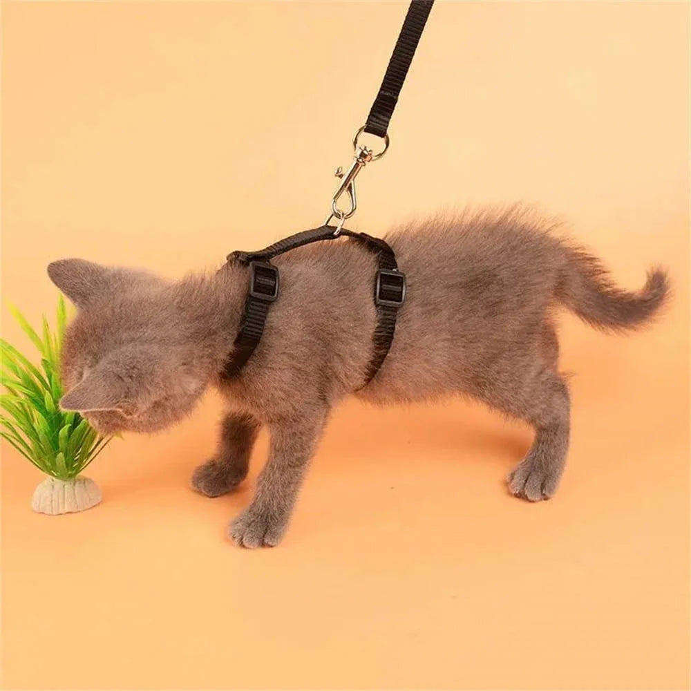 Adjustable Nylon Cat Harness & Leash Set