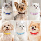 DIY Pearl Pet Collar