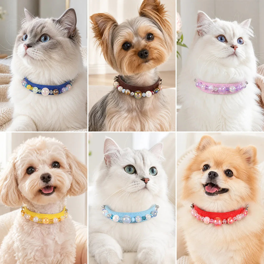 DIY Pearl Pet Collar
