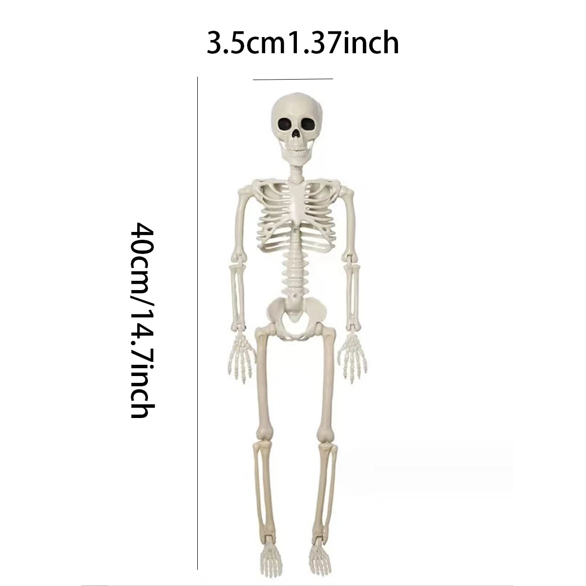 Halloween Fake Skeleton Sculpture