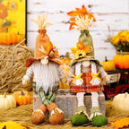Thanksgiving Scarecrow Gnome