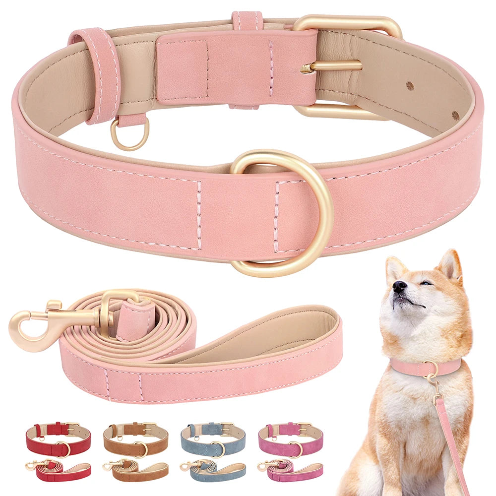 Soft Padded Leather Dog Collar & Leash Set