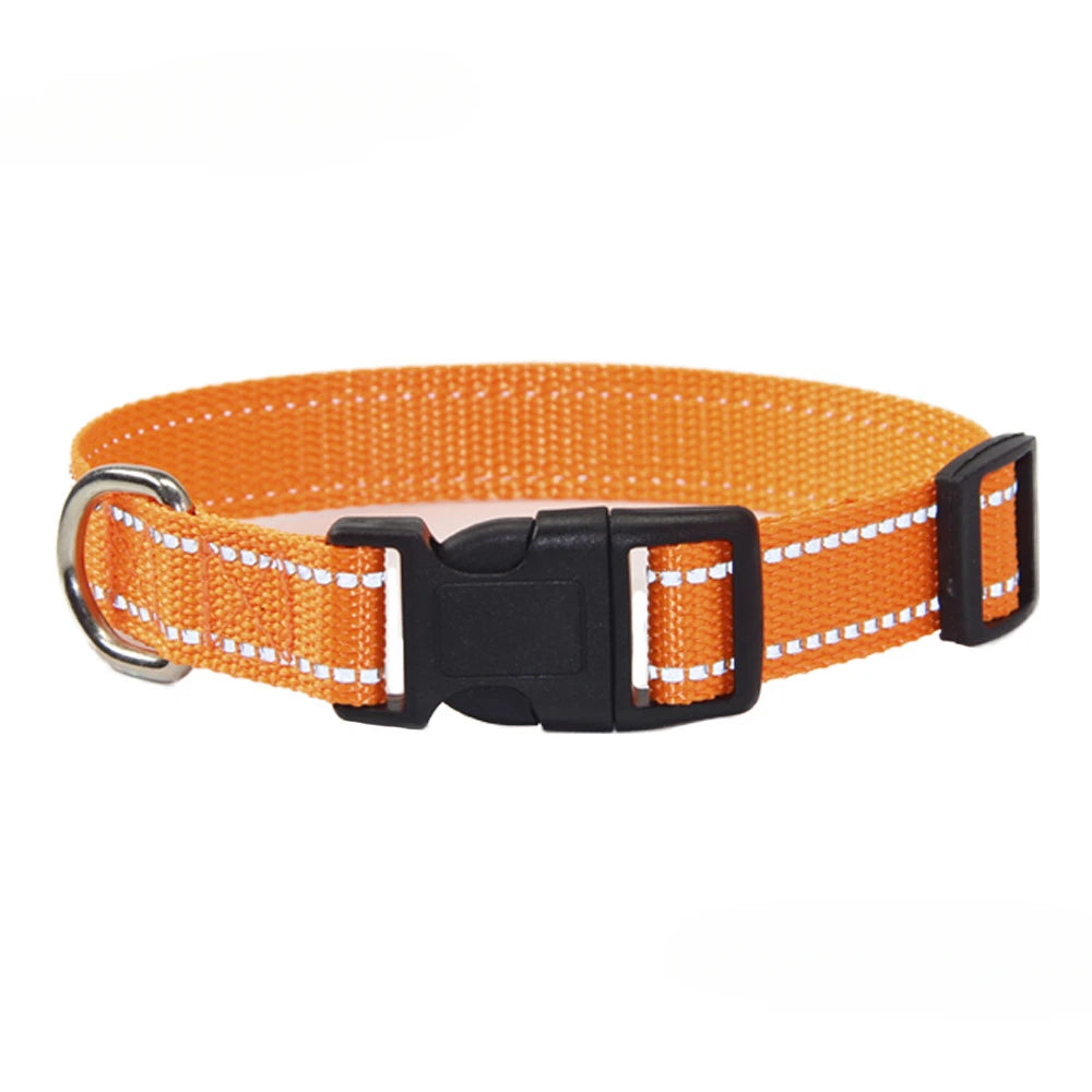 Nylon Dog Collar & Leash Set