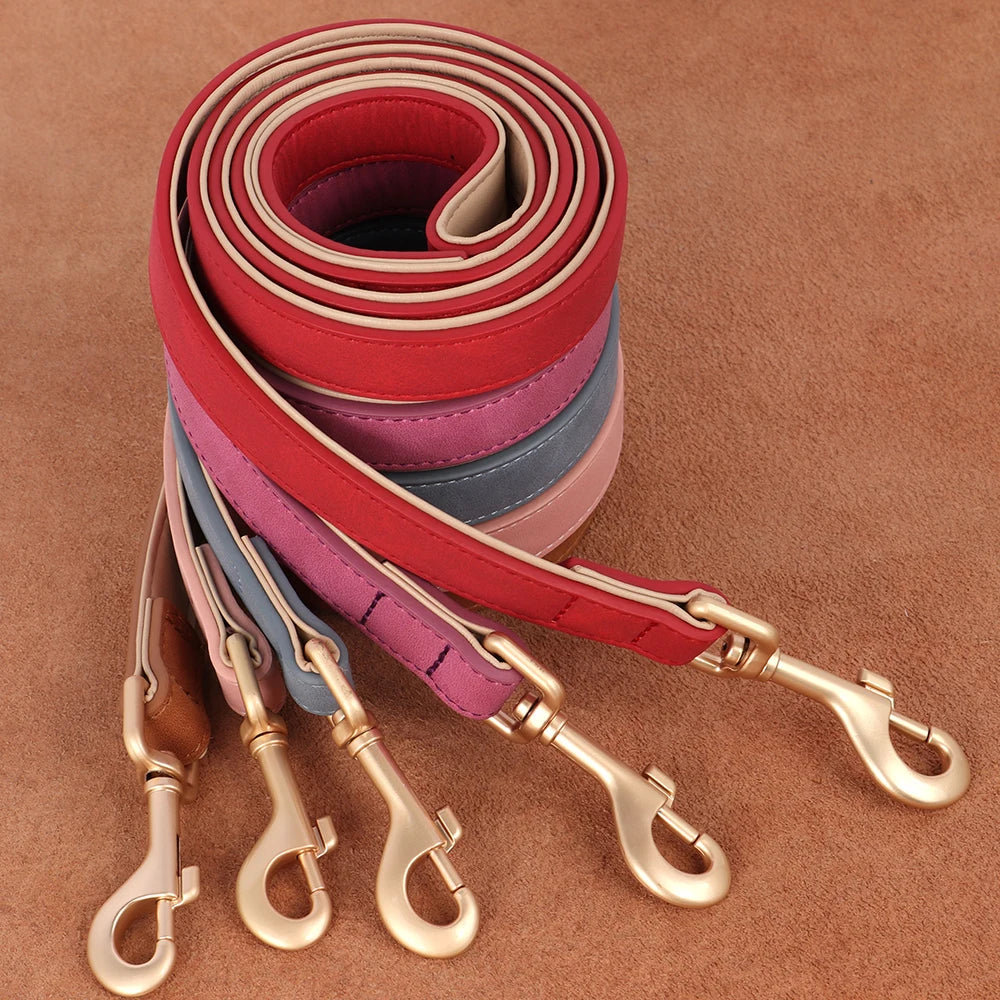 Soft Padded Leather Dog Collar & Leash Set