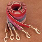 Soft Padded Leather Dog Collar & Leash Set
