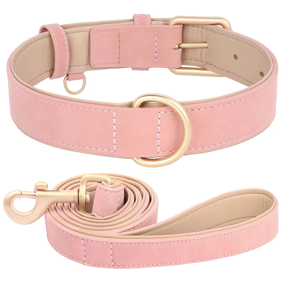 Soft Padded Leather Dog Collar & Leash Set