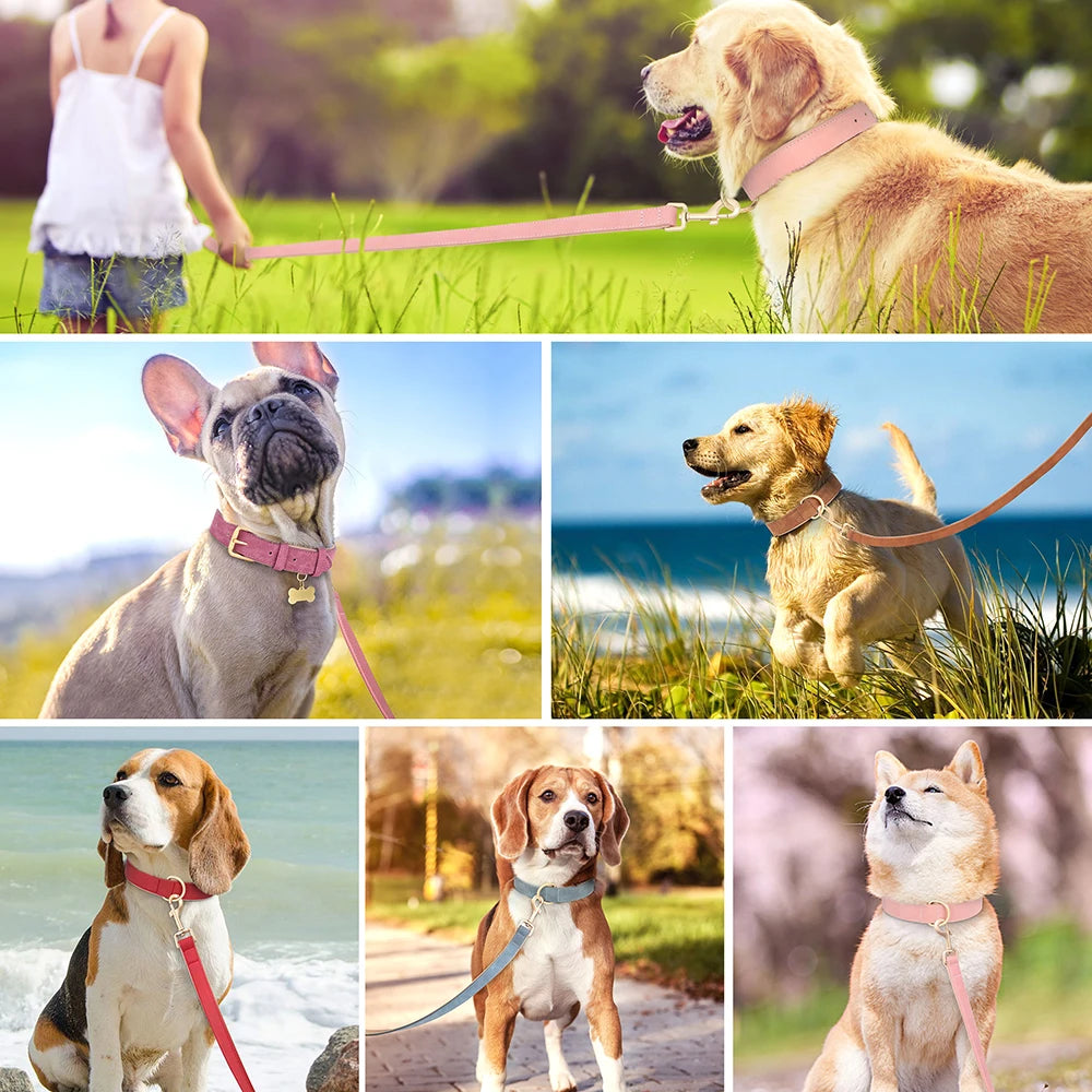 Soft Padded Leather Dog Collar & Leash Set