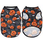 Cat & Small Dog Halloween Costume