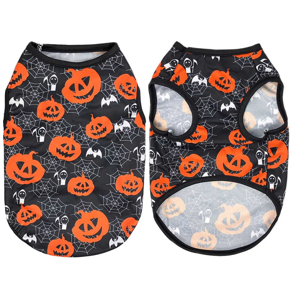 Cat & Small Dog Halloween Costume