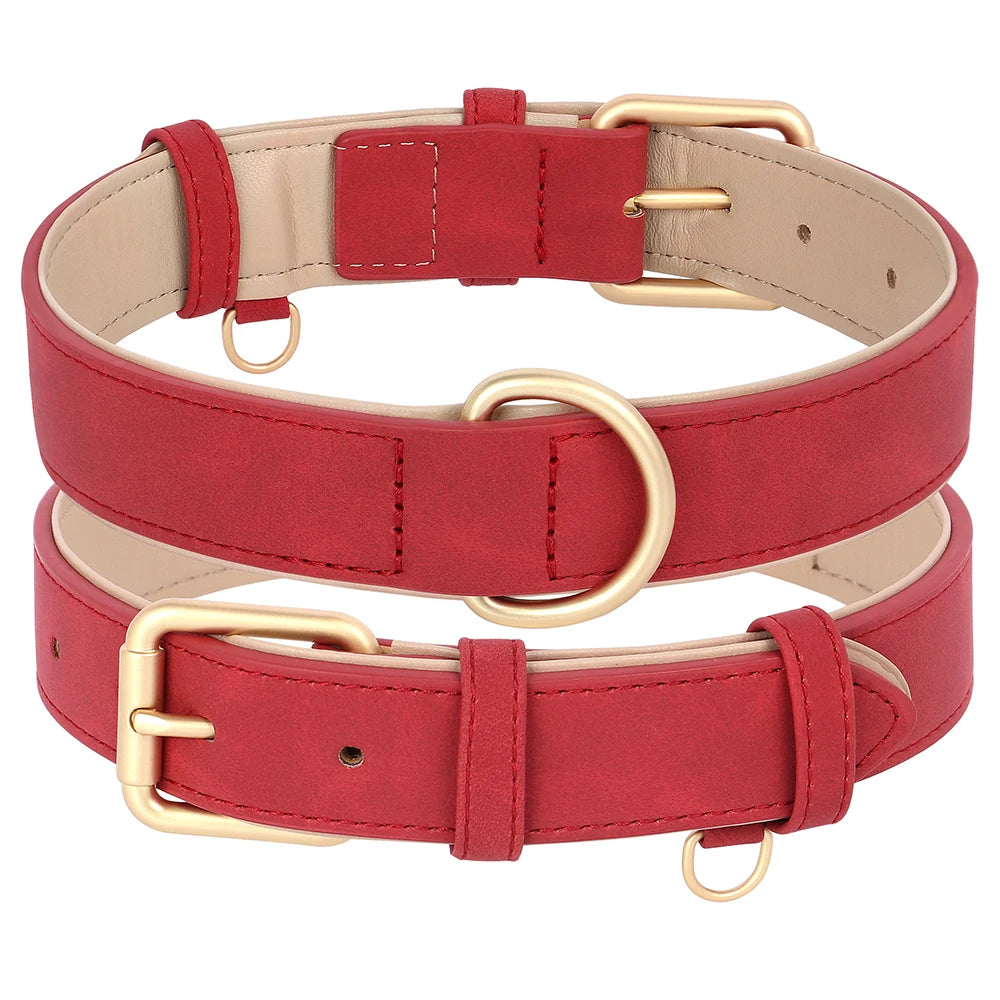 Soft Padded Leather Dog Collar & Leash Set
