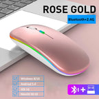 Wireless RGB LED Mouse