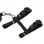 Adjustable Nylon Cat Harness & Leash Set