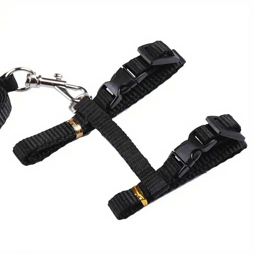 Adjustable Nylon Cat Harness & Leash Set
