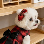 Plaid Dog Shirt & Tie