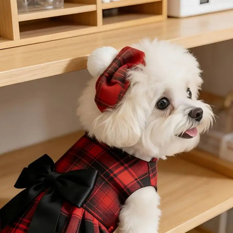 Plaid Dog Shirt & Tie