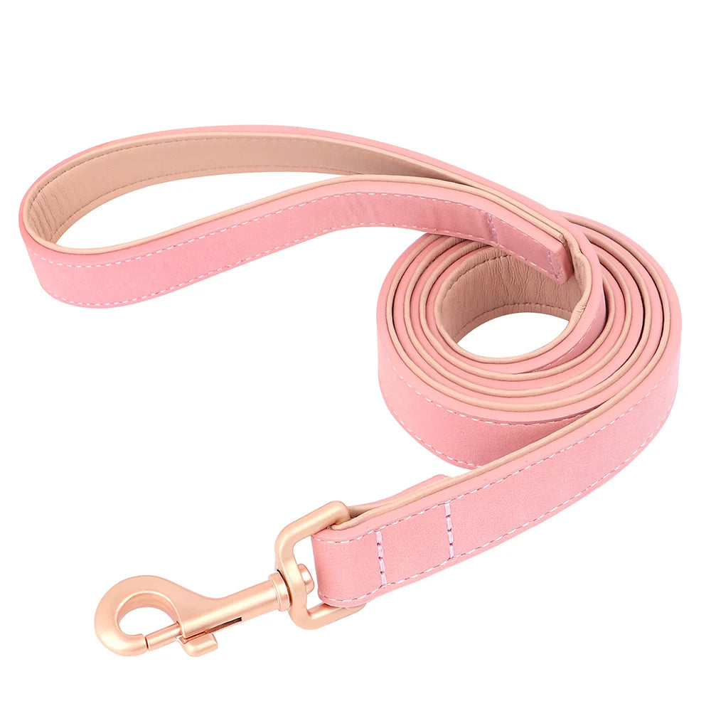 Soft Padded Leather Dog Collar & Leash Set