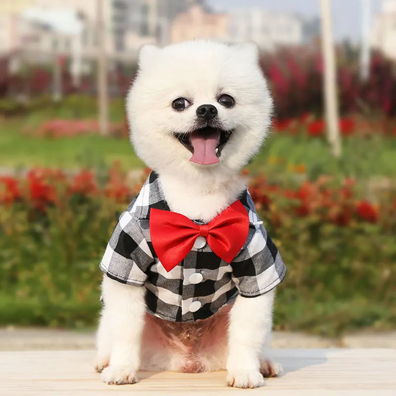 Plaid Shirt & Bow Tie Pet Costume