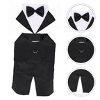 Dog Tuxedo & Bow Tie