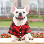 Plaid Shirt & Bow Tie Pet Costume