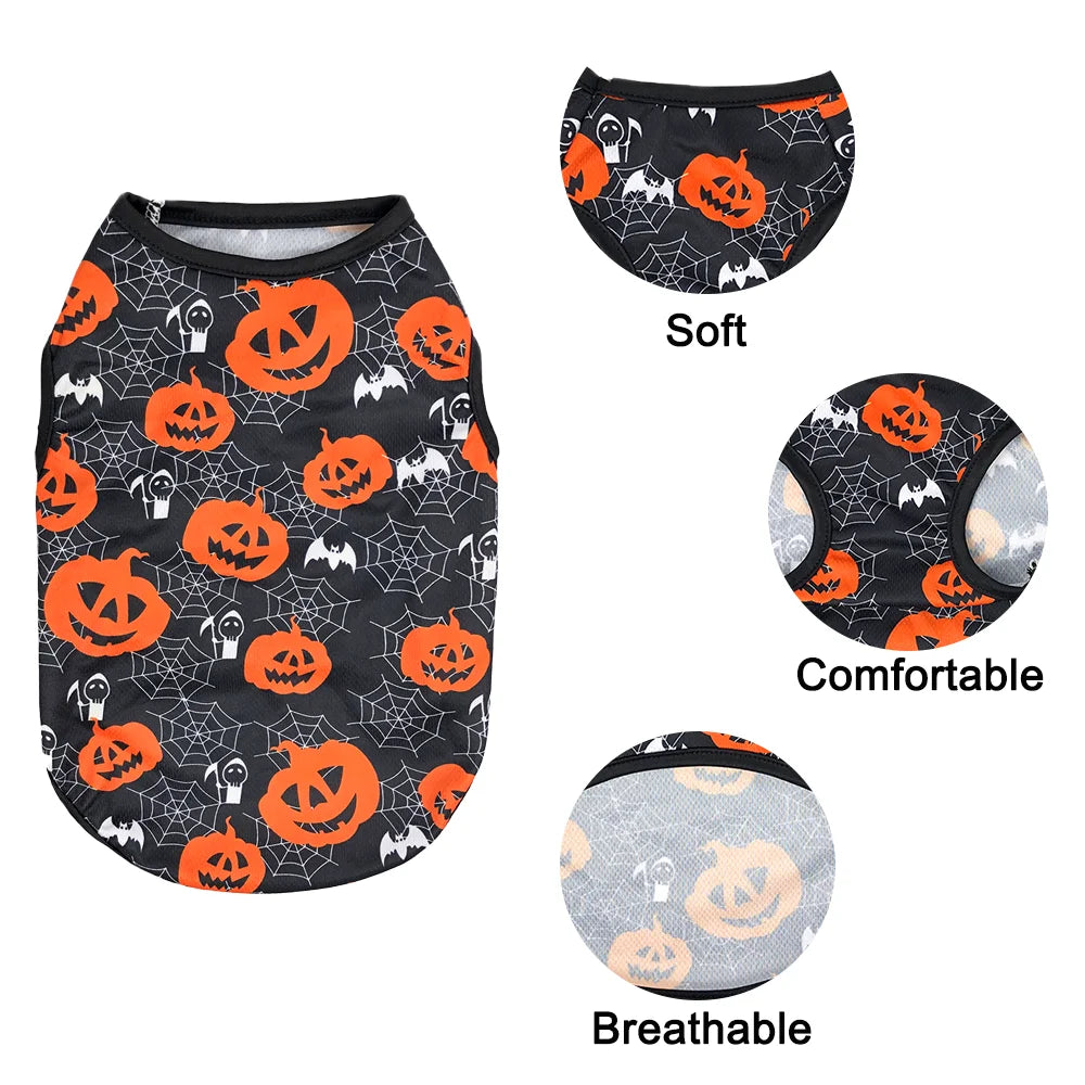 Cat & Small Dog Halloween Costume