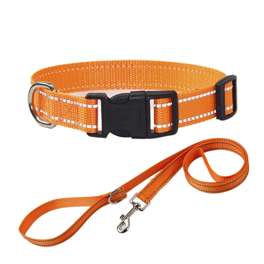 Nylon Dog Collar & Leash Set