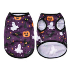 Cat & Small Dog Halloween Costume