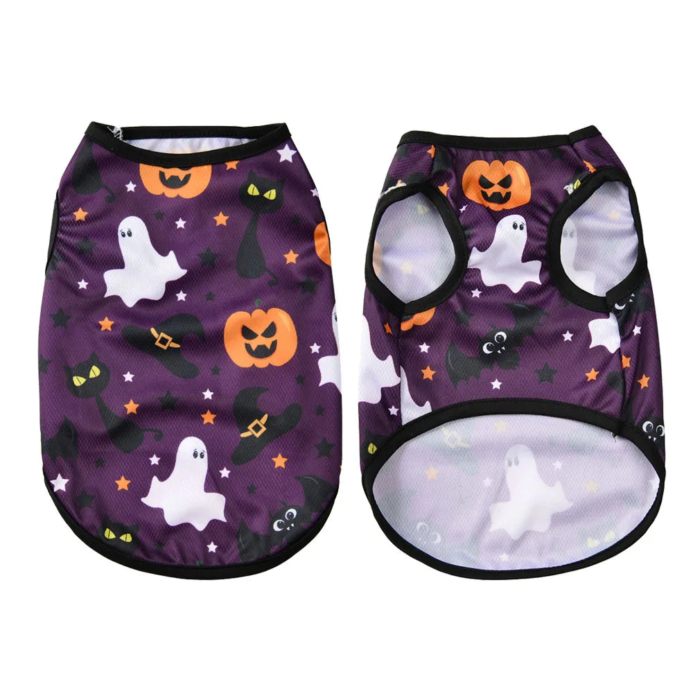 Cat & Small Dog Halloween Costume