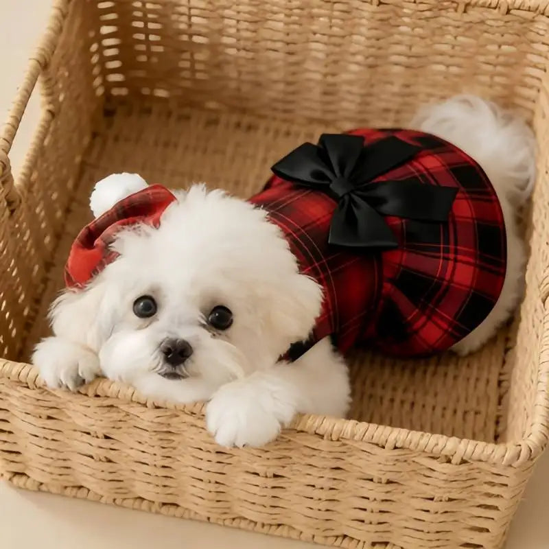 Plaid Dog Shirt & Tie
