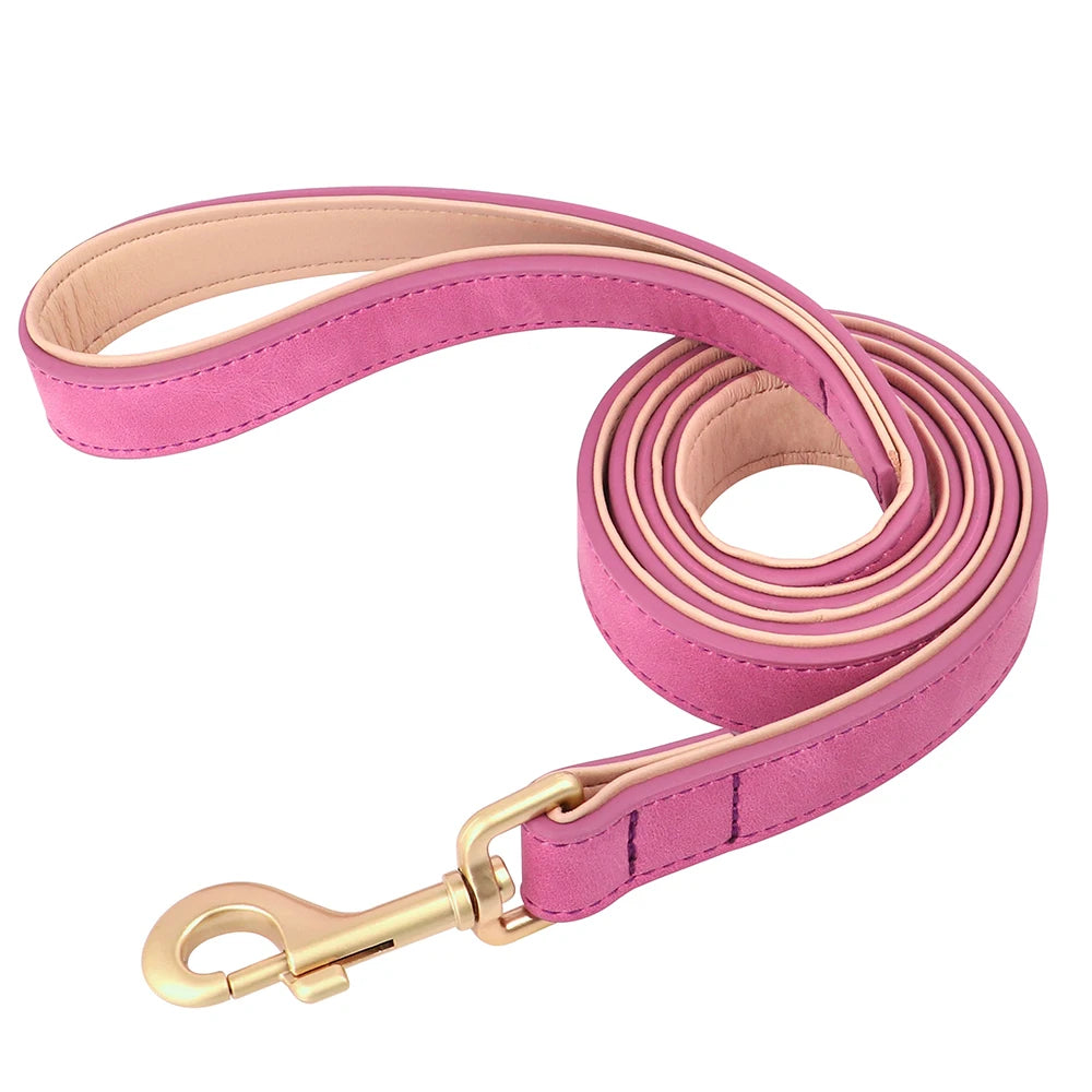 Soft Padded Leather Dog Collar & Leash Set
