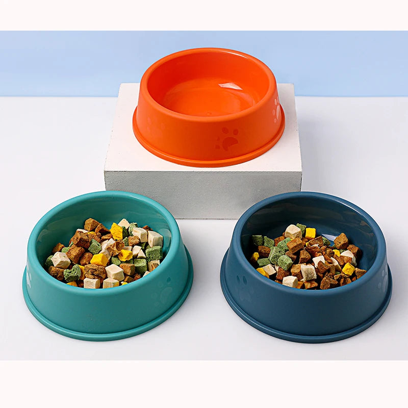 Candy-Colored Plastic Pet Bowl