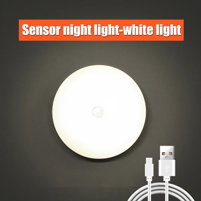 USB Rechargeable Motion Sensor Night Light