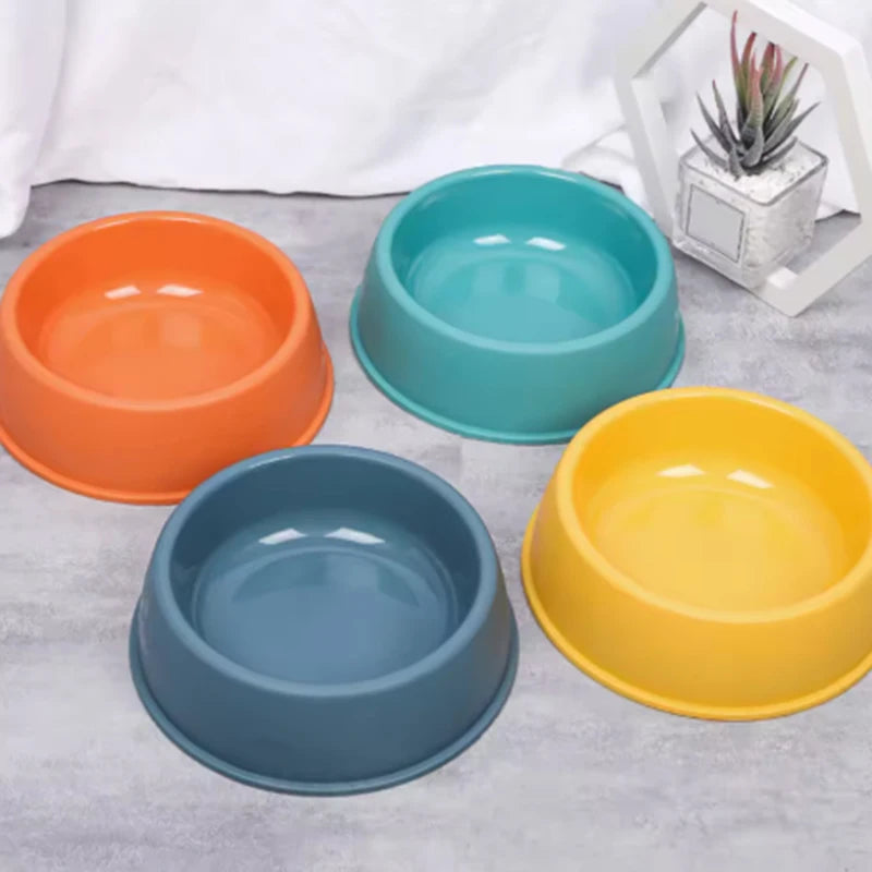 Candy-Colored Plastic Pet Bowl
