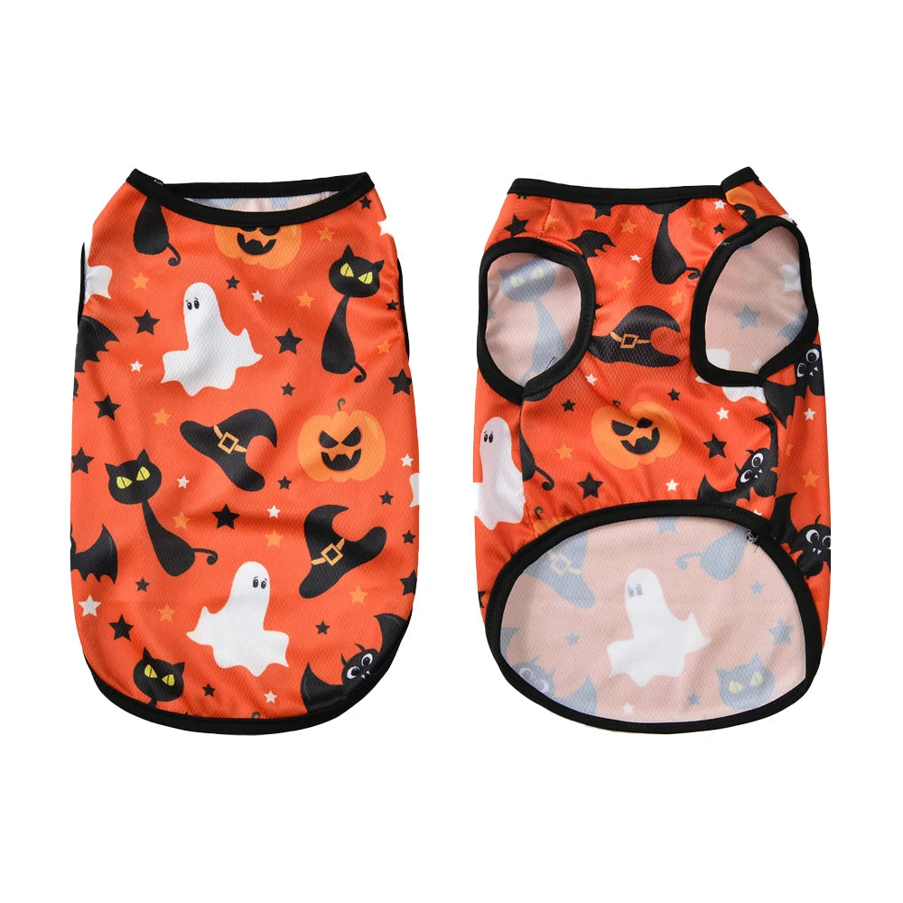 Cat & Small Dog Halloween Costume